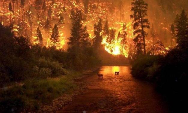 Van 16 días de incendio en el Amazonas