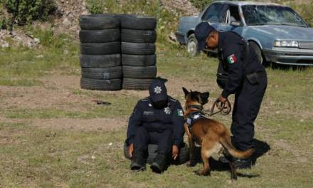 Con motopatrullas y unidad canina, refuerzan seguridad en Pachuca
