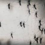 Hay 226 casos de dengue en el estado; 4 son graves