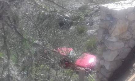 Un muerto y cuatro heridos en accidente automovilístico, en El Cardonal