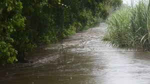 Desaparecen 5 personas tras las lluvias en Tamaulipas, entre ellas dos menores