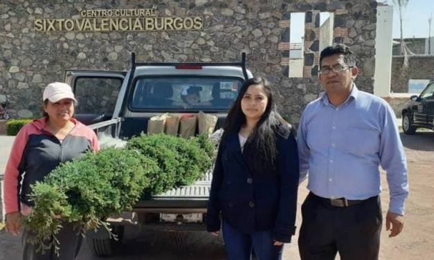 Villa de Tezontepec promueve programas amigables con el medio ambiente