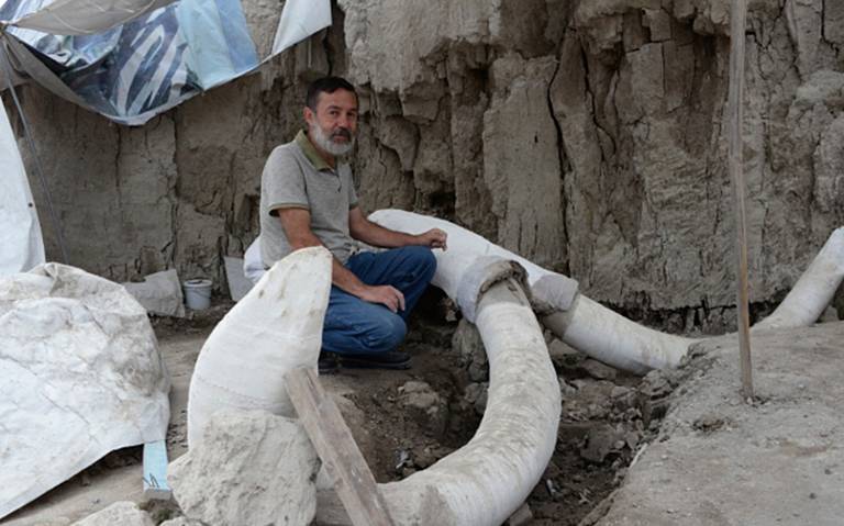 Hallan restos de 14 mamuts en Tultepec, era una trampa