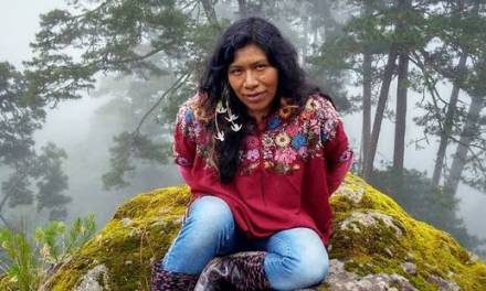 Lleva una semana desaparecida la defensora de bosques Irma Galindo