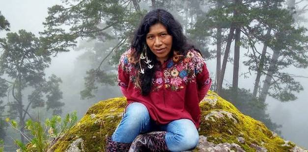 Lleva una semana desaparecida la defensora de bosques Irma Galindo