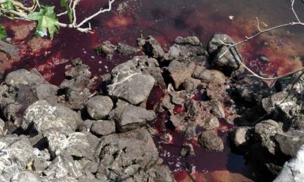 Encuentran en Tulancingo descargas de drenaje con residuos de sangre y tinta