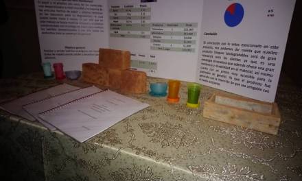 Estudiantes del Cobaeh desarrollaron tabiques ecológicos