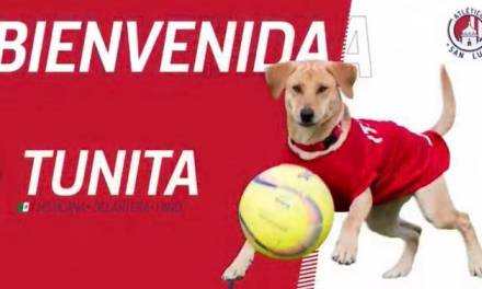 Presentaron a «Tunita» como nuevo refuerzo del Atlético de San Luis