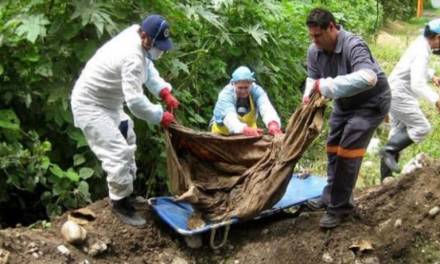 Hallan 24 cadáveres en fosa clandestina de Michoacán