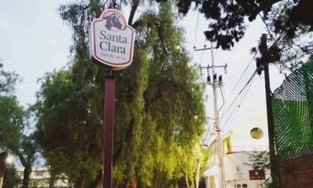 Biofutura exige información respecto a posible derribo de árboles en Calzada Cuesco