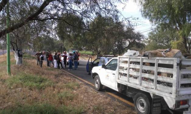 Utilizan como basurero el acceso a Mixquiahuala