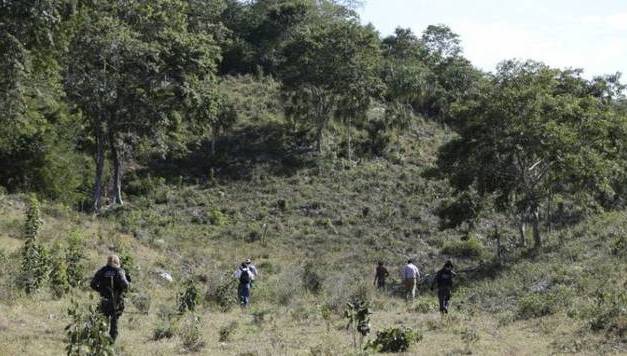 Suspenden clases en 13 escuelas de Valle de Bravo por felino que anda suelto