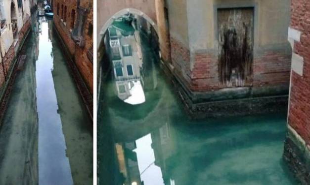 Agua de Venecia luce sin contaminación por nula presencia de personas ante pandemia