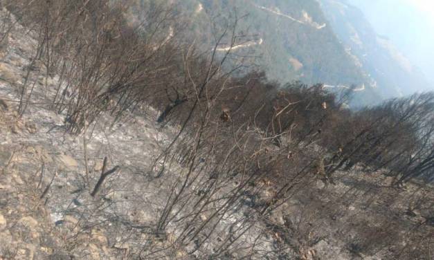 Instancias participantes finiquitan incendio en Nicolás Flores