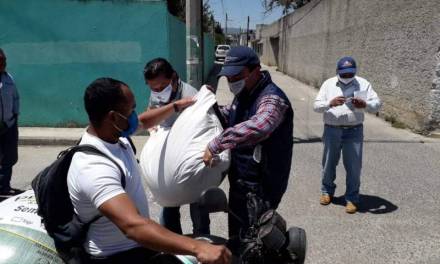 Sedagroh ha entregado semilla de avena en 8 municipios