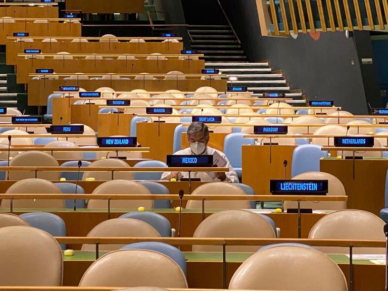 México fue elegido para integrar el Consejo de Seguridad de la ONU