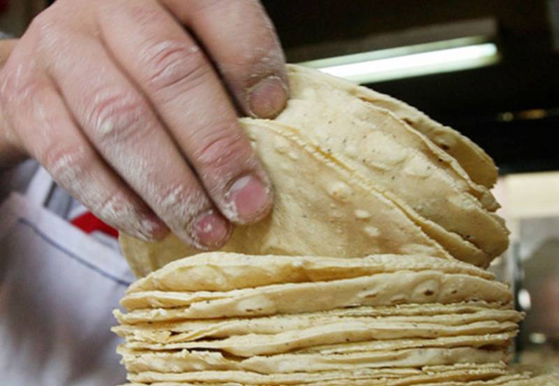 Venta de tortillas ha caído 25 % durante pandemia
