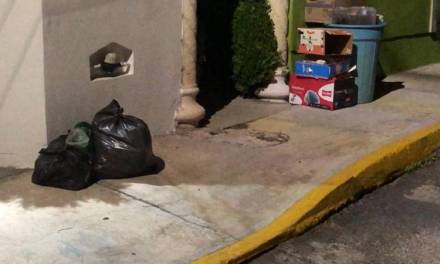 Resurge problema de la basura en Pachuca