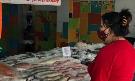 Comerciantes de mariscos esperan no verse afectados en curesma