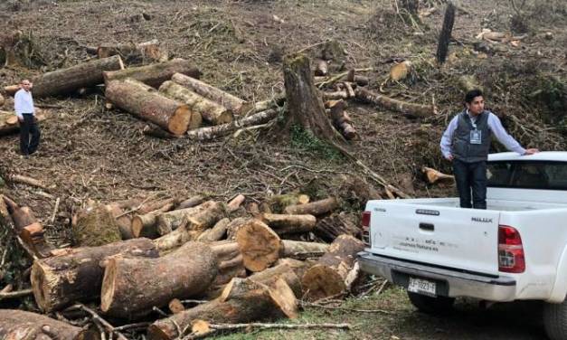 Semarnath fija fecha límite para tramitar cédula de operación anual