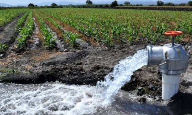 Alumnos de la UPE desarrollan sistema de recuperación de agua de riego con energía sustentable