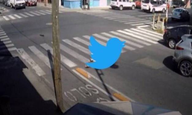 Volvió a caerse Twitter; reportan fallas en la red social