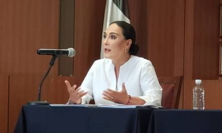 Parlamento abierto y permanente: Erika Rodríguez