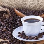 Alistan la tercera edición de la Expo Café en Pachuca