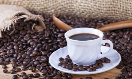 Se posiciona café hidalguense entre los mejores del país