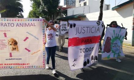 Activistas exigen sanciones contra el maltrato animal