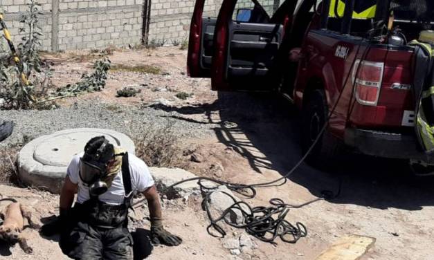 Rescatan bomberos a perro que cayó al drenaje