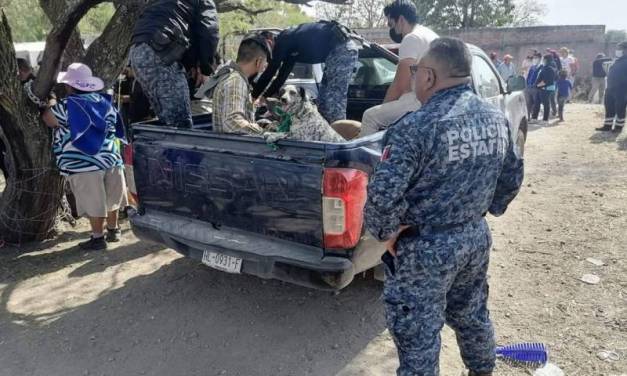 Jauría ataca a una mujer y la matan