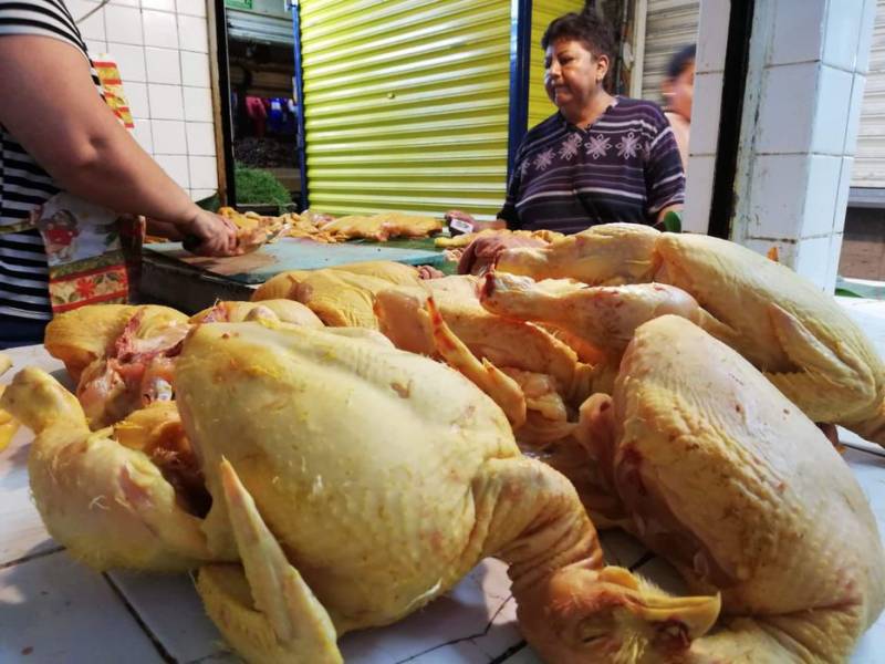 Acuerdan medidas de control sanitario sobre comercialización de pollo
