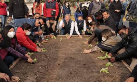Plantan primer huerto urbano en Pachuca