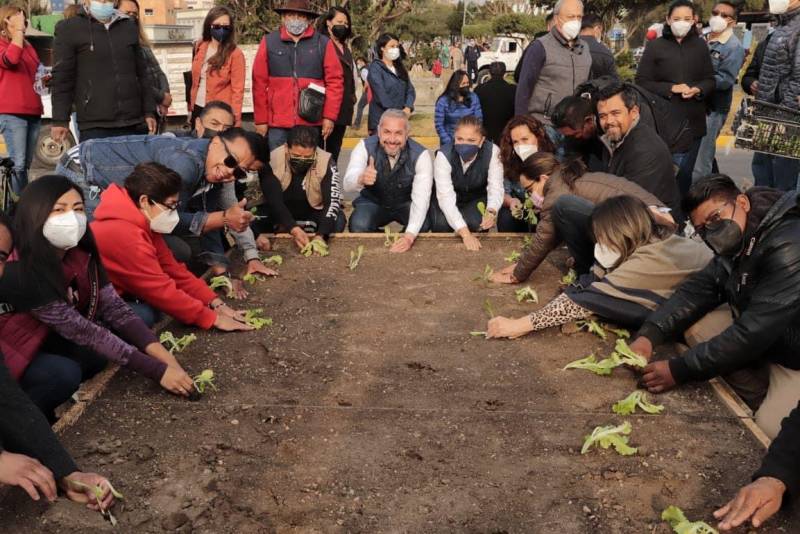 Plantan primer huerto urbano en Pachuca