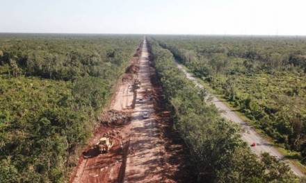 Juez de Yucatán ordena suspensión de construcción del Tren Maya