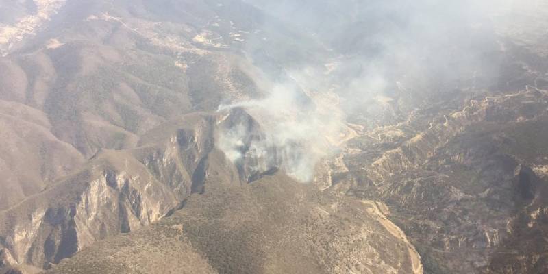 En una semana, 9 incendios forestales en Hidalgo