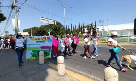 Marchan en Pachuca en contra del maltrato animal