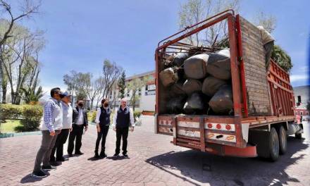 Recibe alcalde de Pachuca árboles para reforestar Jardín de los Hombres Ilustres