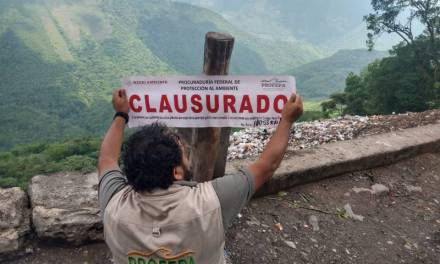 Clausuran tiradero dentro de terreno forestal en Chapulhuacán