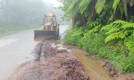 Ante lluvias realizan labores de limpieza en carreteras estatales