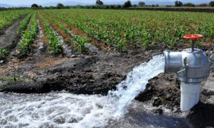 Exigen agricultores de Ajacuba a Conagua cumpla con abasto de agua
