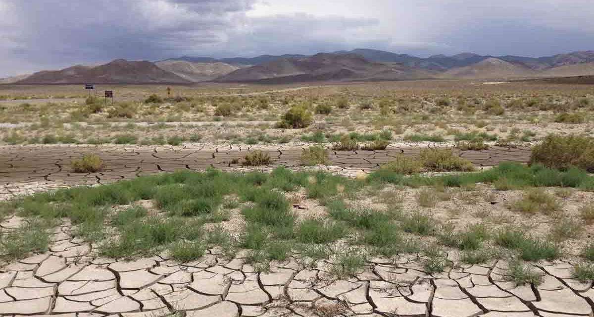 Sequía afecta cultivos en varias regiones del estado