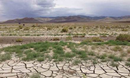 Persisten condiciones de sequía en Hidalgo y disminuye nivel de presas