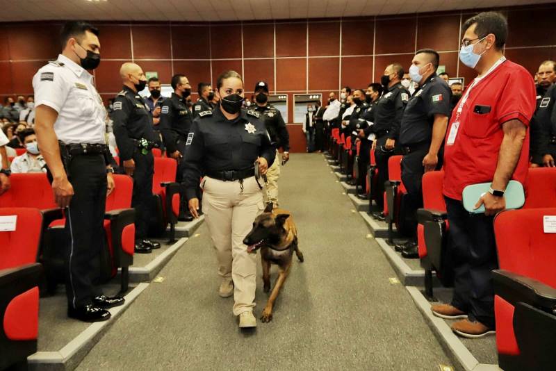 Retiran a agente canino de Pachuca