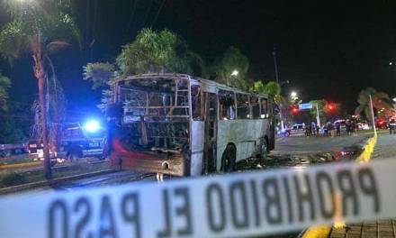 México vivió semana de terror con 260 muertos