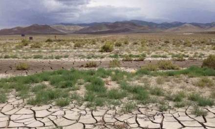 Son 13 los municipios que presentan sequía severa en Hidalgo