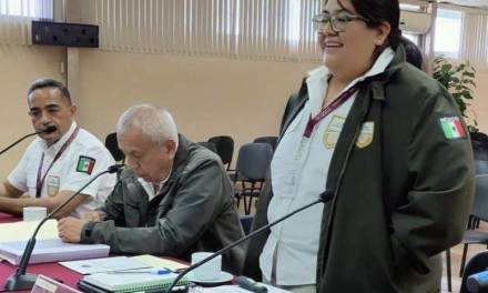 Muere en accidente Anabel Lorenzo, delegada del INM en Hidalgo