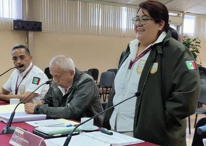 Muere en accidente Anabel Lorenzo, delegada del INM en Hidalgo