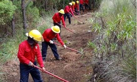 Despliega Semarnath operativo especial en el Parque Nacional El Chico
